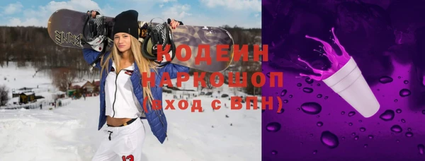 МДПВ Вяземский