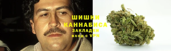 МДПВ Вяземский