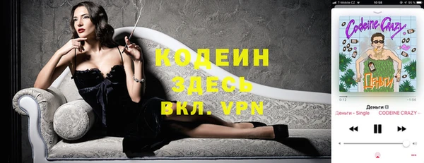 МДПВ Вяземский