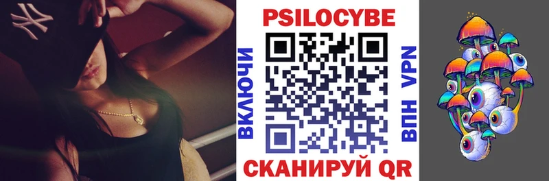 kraken   наркошоп  Тюмень  Псилоцибиновые грибы GOLDEN TEACHER 